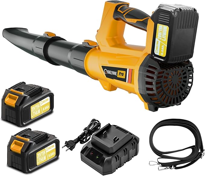 20V cordless leaf blower with 6.0Ah batteries, 540 CFM / 170 MPH